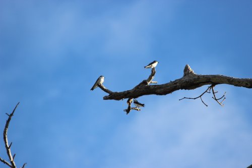 IMG_4202